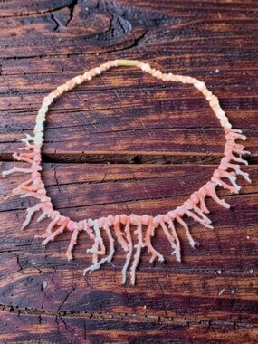Angel Skin Coral Necklace ~ Vintage 
Delicate Branch Salmon Coral necklace